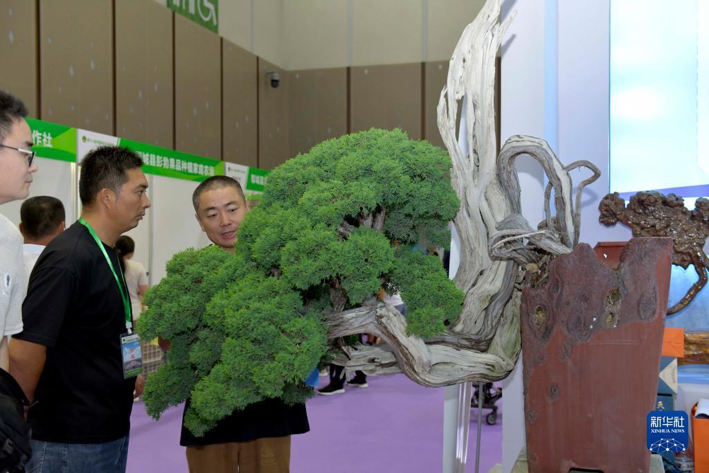 vg棋牌厅